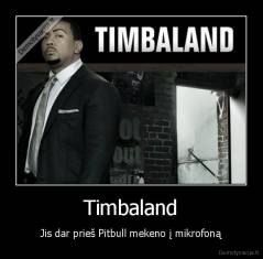 Timbaland - Jis dar prieš Pitbull mekeno į mikrofoną
