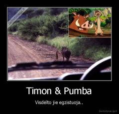 Timon & Pumba - Visdėlto jie egzistuoja..