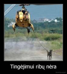 Tingėjimui ribų nėra - 