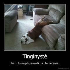 Tinginystė - Jei tu to negali pasiekti, tau to nereikia.