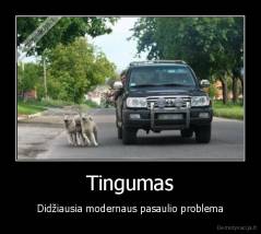 Tingumas - Didžiausia modernaus pasaulio problema