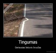 Tingumas - Geriausias lietuvio bruožas