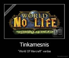 Tinkamesnis - "World Of Warcraft" vardas