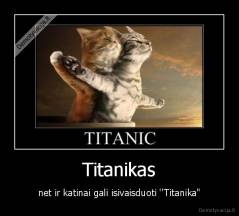Titanikas - net ir katinai gali isivaisduoti ''Titanika"