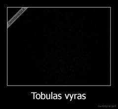 Tobulas vyras - 