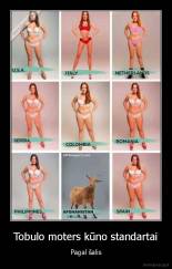 Tobulo moters kūno standartai - Pagal šalis