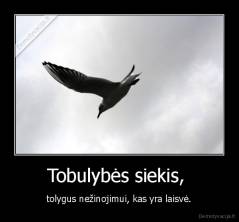 Tobulybės siekis,  - tolygus nežinojimui, kas yra laisvė.