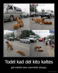 Todėl kad dėl kito kaltės - gali netekti savo vienintelio draugo.