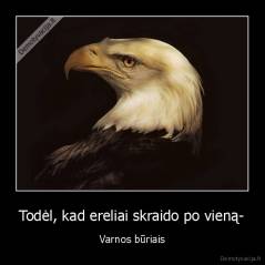 Todėl, kad ereliai skraido po vieną- - Varnos būriais