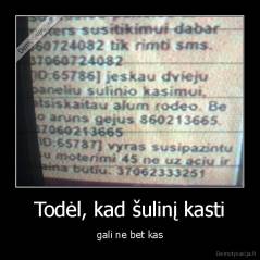 Todėl, kad šulinį kasti - gali ne bet kas