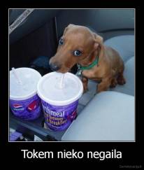 Tokem nieko negaila - 