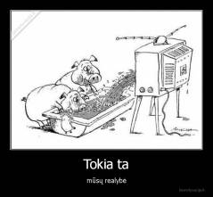 Tokia ta - mūsų realybė
