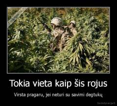 Tokia vieta kaip šis rojus - Virsta pragaru, jei neturi su savimi degtukų