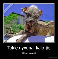 Tokie gyvūnai kaip jie - Nikeo neverti