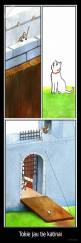 Tokie jau tie katinai - 