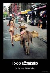 Tokio užpakalio - norėtų kiekvienas asilas