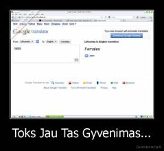 Toks Jau Tas Gyvenimas... - 