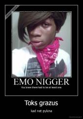 Toks grazus - kad net pykina