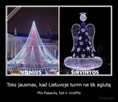 Toks jausmas, kad Lietuvoje turim ne tik eglutę - Mis Pasaulis, bet ir viceMis
