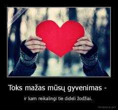 Toks mažas mūsų gyvenimas -  - ir kam reikalingi tie dideli žodžiai. 