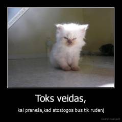 Toks veidas, - kai praneša,kad atostogos bus tik rudenį