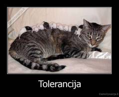 Tolerancija - 