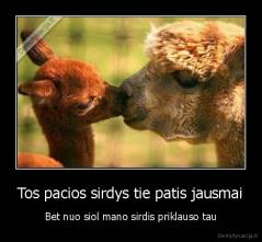 Tos pacios sirdys tie patis jausmai - Bet nuo siol mano sirdis priklauso tau