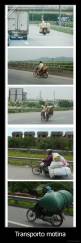Transporto motina - 
