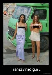 Tranzavimo guru - 