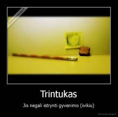 Trintukas - Jis negali istrynti gyvenimo (ivikiu)