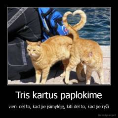 Tris kartus paplokime - vieni dėl to, kad jie įsimylėję, kiti dėl to, kad jie ryži