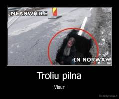 Troliu pilna - Visur
