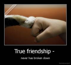 True friendship -  - never has broken down