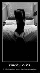 Trumpas Seksas - - tai lyg beklausant geros dainos, artėjan priedainiui ji nutraukiama.