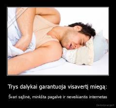 Trys dalykai garantuoja visavertį miegą: - Švari sąžinė, minkšta pagalvė ir neveikiantis internetas