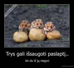 Trys gali išsaugoti paslaptį.. - Jei du iš jų negyvi