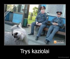 Trys kaziolai - 