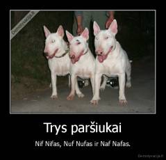 Trys paršiukai - Nif Nifas, Nuf Nufas ir Naf Nafas.