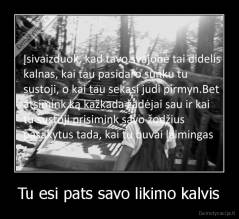 Tu esi pats savo likimo kalvis - 