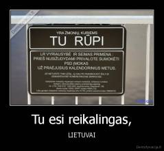 Tu esi reikalingas, - LIETUVAI