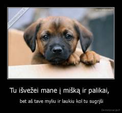 Tu išvežei mane į mišką ir palikai,  -  bet aš tave myliu ir laukiu kol tu sugrįši