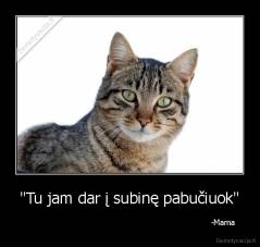 "Tu jam dar į subinę pabučiuok" -                                                                            -Mama