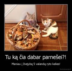 Tu ką čia dabar parnešei?! - Maniau į žvejybą 5 valandą ryto kelies!