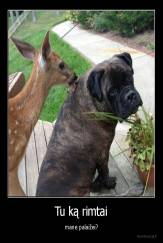 Tu ką rimtai - mane palaižei?