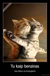 Tu kaip benzinas - kas diena vis brangesnė