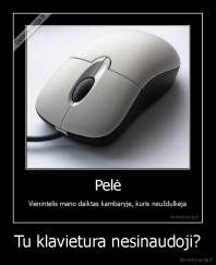 Tu klavietura nesinaudoji? - 