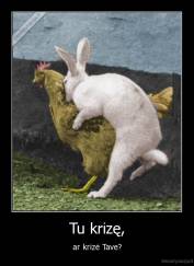 Tu krizę, - ar krizė Tave?