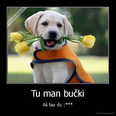 Tu man bučki - Aš tau du :***