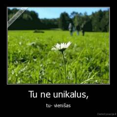 Tu ne unikalus, - tu- vienišas