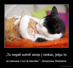 „Tu negali suimti savęs į rankas, jeigu tu - esi katiniukas ir turi tik letenėles.“ - Kempiniukas Plačiakelnis